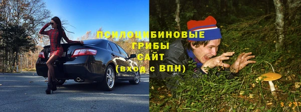 соль курить ск Богородск