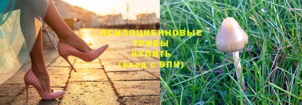соль курить ск Богородск