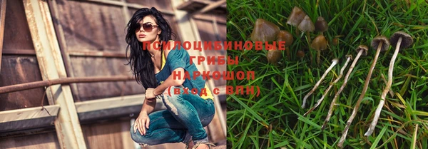 соль ск Богданович
