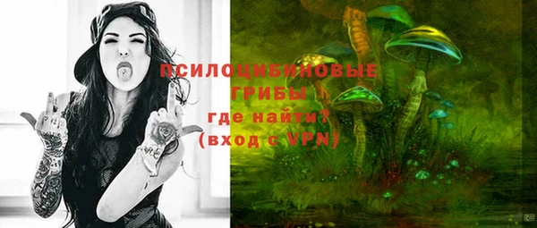 jwh Богородицк