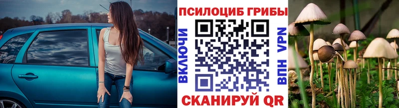 Галлюциногенные грибы Magic Shrooms  Можайск 